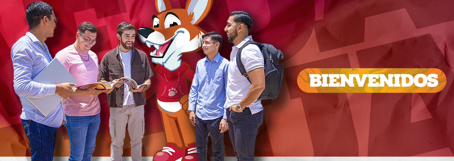 slideshow banner